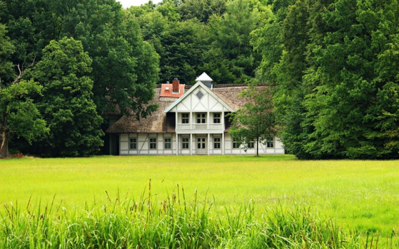 Особенности земельных участков у леса